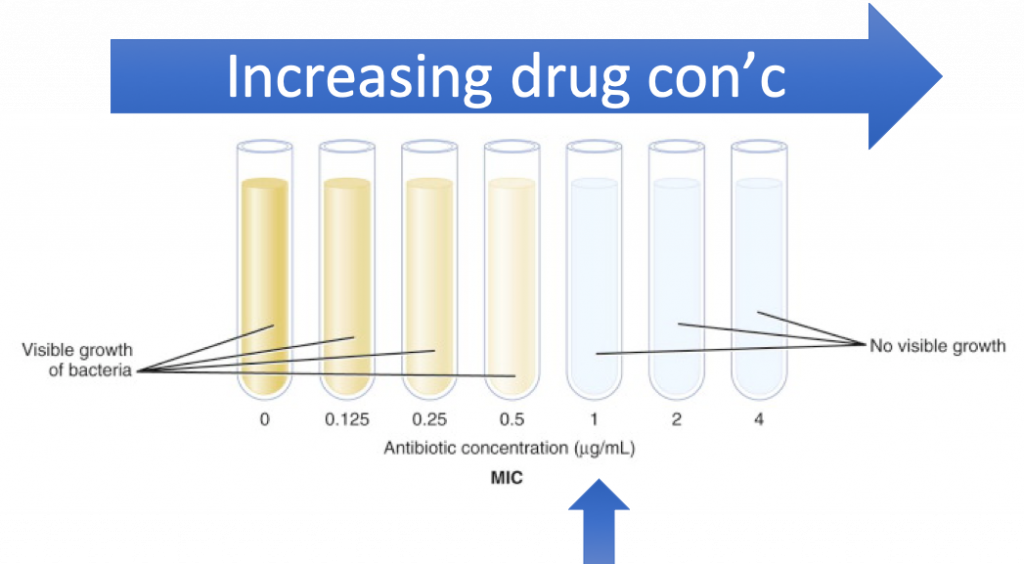 Module 9.5 Determining Antibiotic Sensitivity or Susceptibility After
