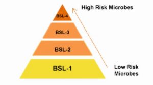 BSL Levels. BSL-1 (low risk) through BSL-4 (high risk)