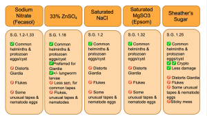The pros and cons of the most common types of fecal flotation solutions used in clinical practice, including Sodium Nitrate (Fecesol), 33% ZnSO4, Saturated NaCl, Saturated MgSO3 (Epsom), and Sheather's Sugar