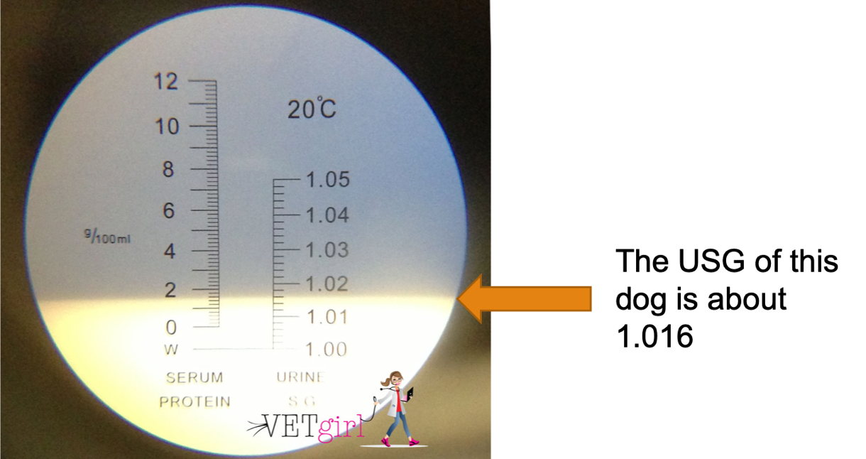 Refractometer with line of refraction at a USG of about 1.016