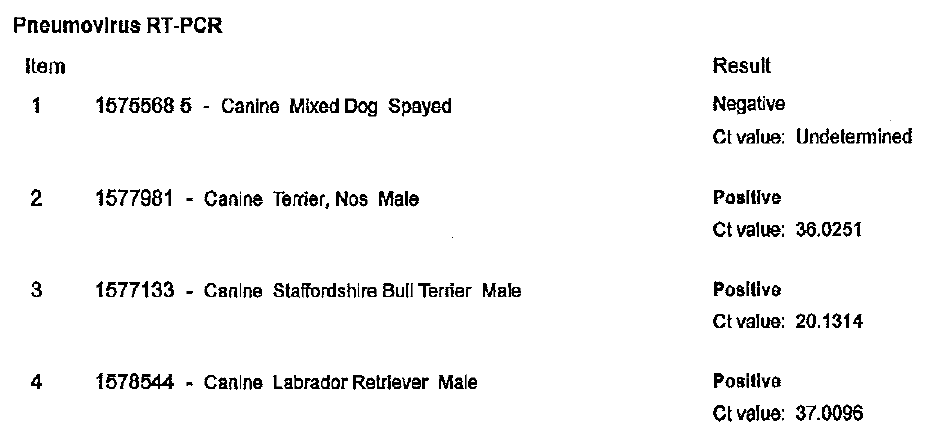 Dog 1 has a negative result and an undetermined Ct value. Dog 2 has a positive result and a Ct value of 36.0251. Dog 3 has a positive result and a Ct value of 20.1314. Dog 4 has a positive result and a Ct value of 37.0096.