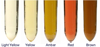 module 83 the routine urinalysis clinical veterinary diagnostic