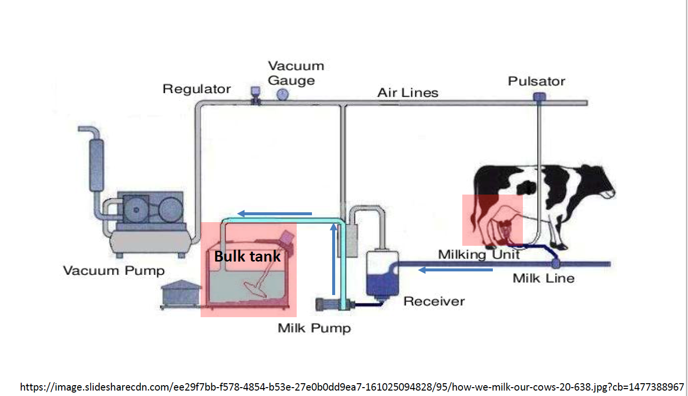 Process of Bulk Tank Culture