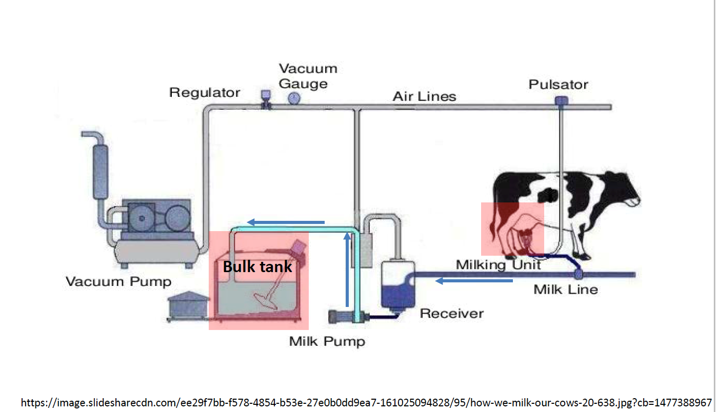 Process of Bulk Tank Culture 