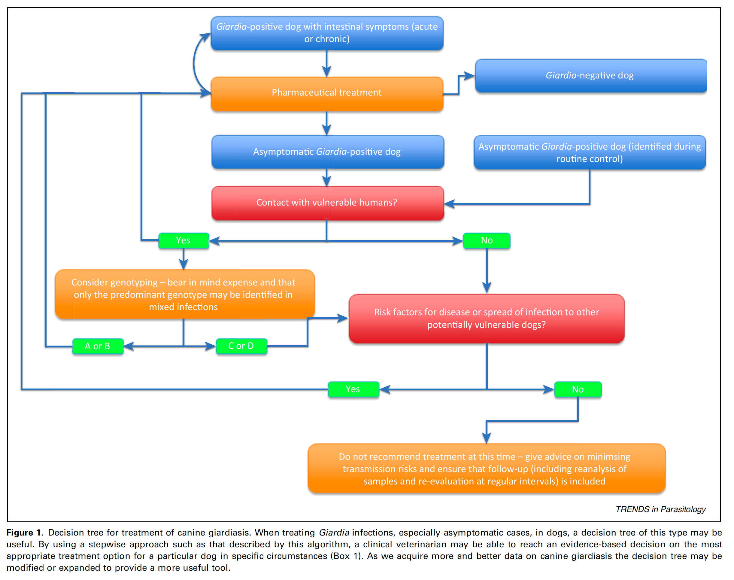 Decision tree on whether to treat asymptomatic animals for whom Giardia is detected on fecal flotation