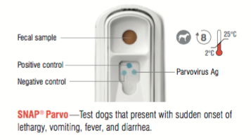 Positive and negative controls, fecal sample, and Parvovirus antigen