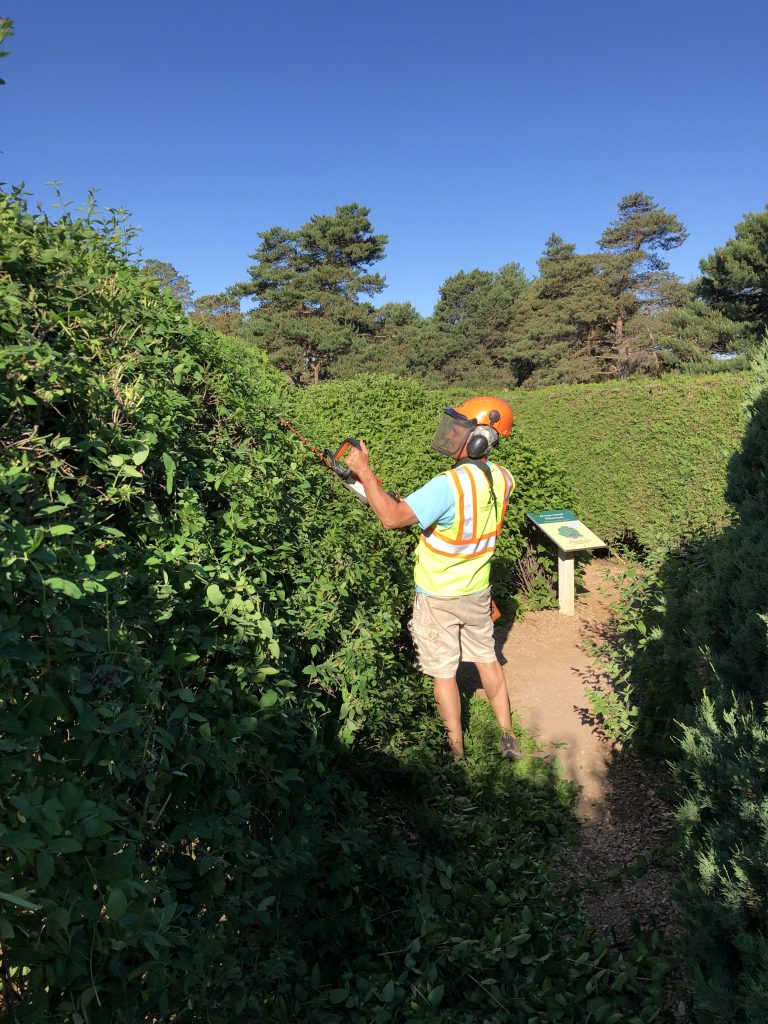 A man pruning hedges with a helmet, face mask, and reflective vest.