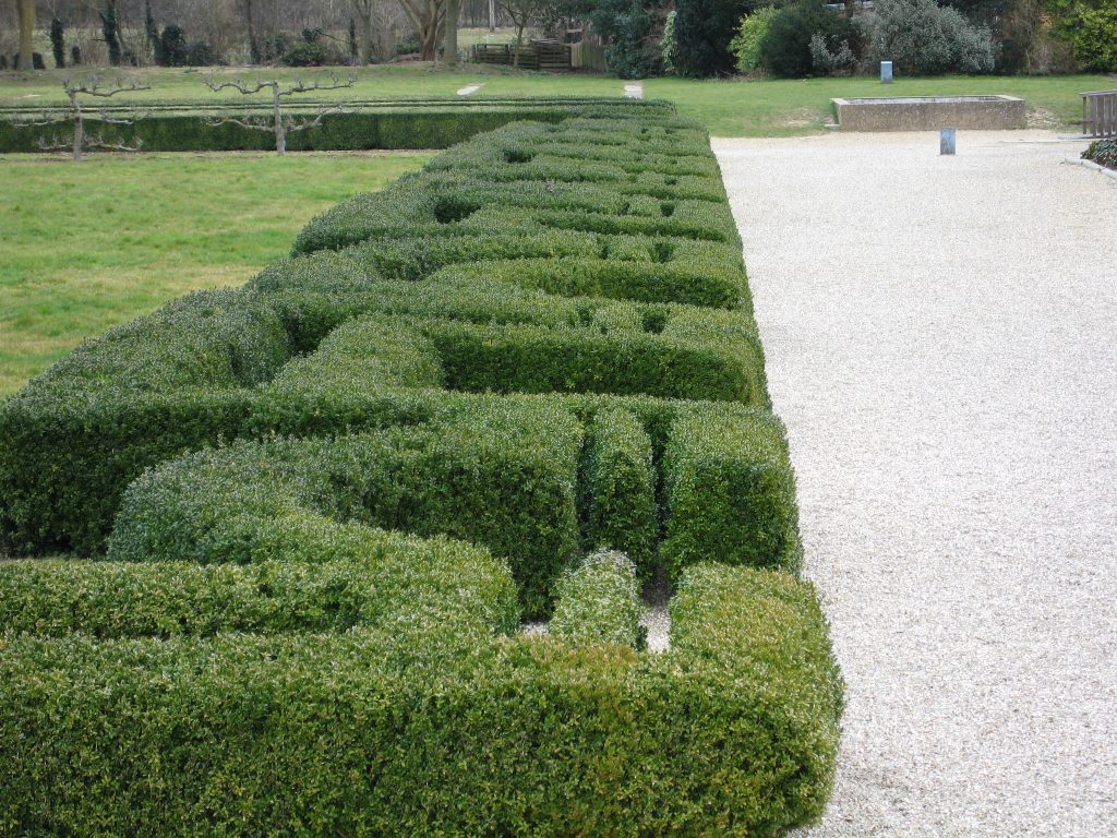 A thick, dense hedge in a pattern