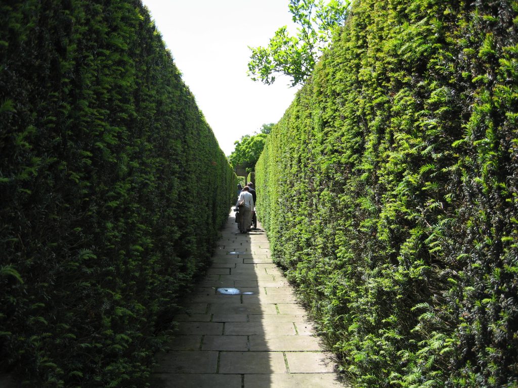 Sissinghurst's double yew hedge divide garden rooms.