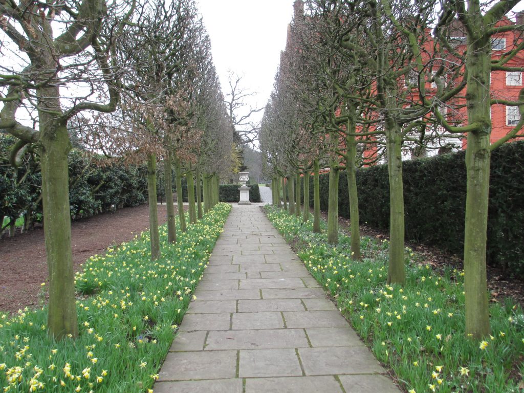 A double hedge of lime trees and evergreen yews mark a formal walkway in Kew Gardens.