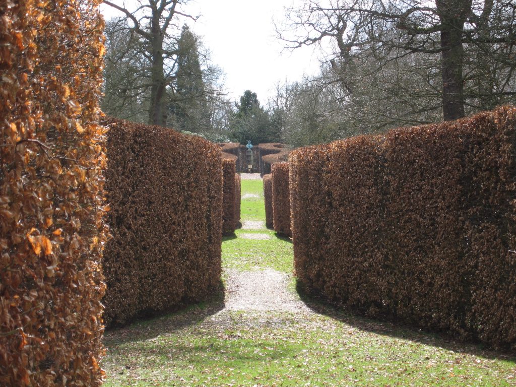 Chatsworth's serpentine hedge is the deciduous beech, Fagus sylvatica, which creates interest even in winter with its persistent reddish foliage. Planted in 1953 to give prominence to the bronze head of the 6th Duke of Devonshire, it took 20 years of growth before the hedge looked right.