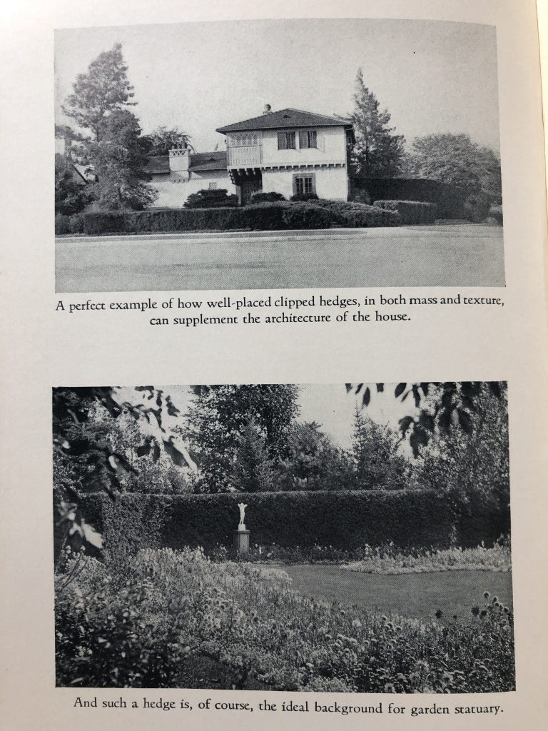 Illustrations from Donald Wyman's 1938 book entitled Hedges, Screens and Windbreaks. The top picture is a house with hedges in front and the caption "A perfect example of how well-placed clipped hedges, in both mass and texture, can supplement the architecture of the house." The picture below is a garden with a statue in it that has the caption "And such a hedge is, of course, the ideal background for garden statuary.