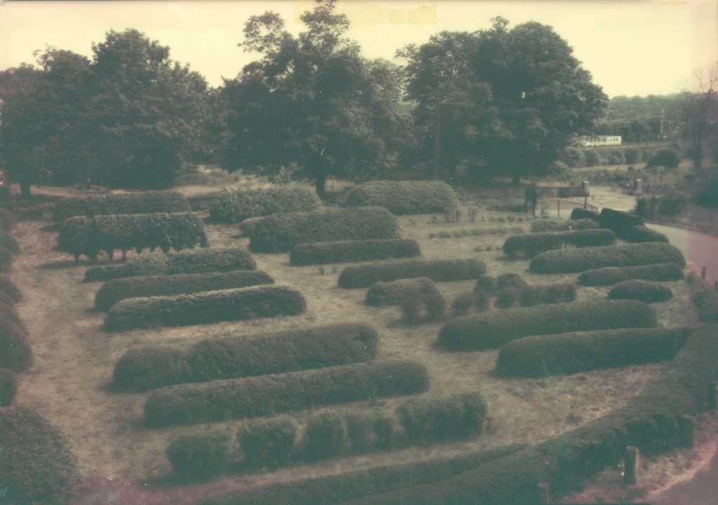 An old sepia colored aerial view of Arnold Arboretum's hedge collection.