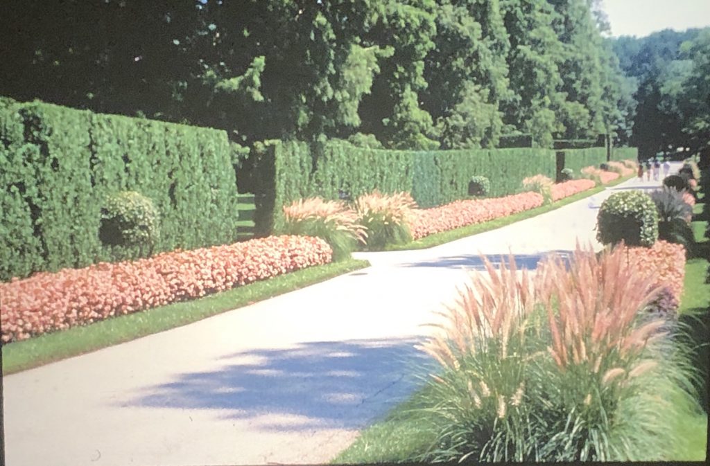 The Long Walk at Longwood Gardens, Kennett Square, PA, in 1968.