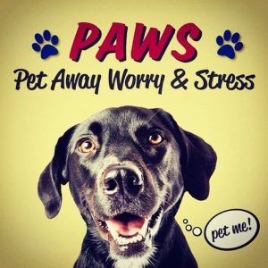 PAWS: Pet Away Stress