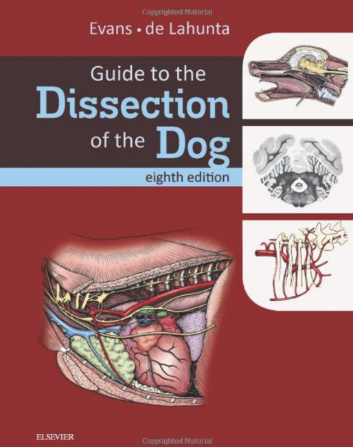 Introduction Dissection Lab Guide for Dog and Cat Anatomy
