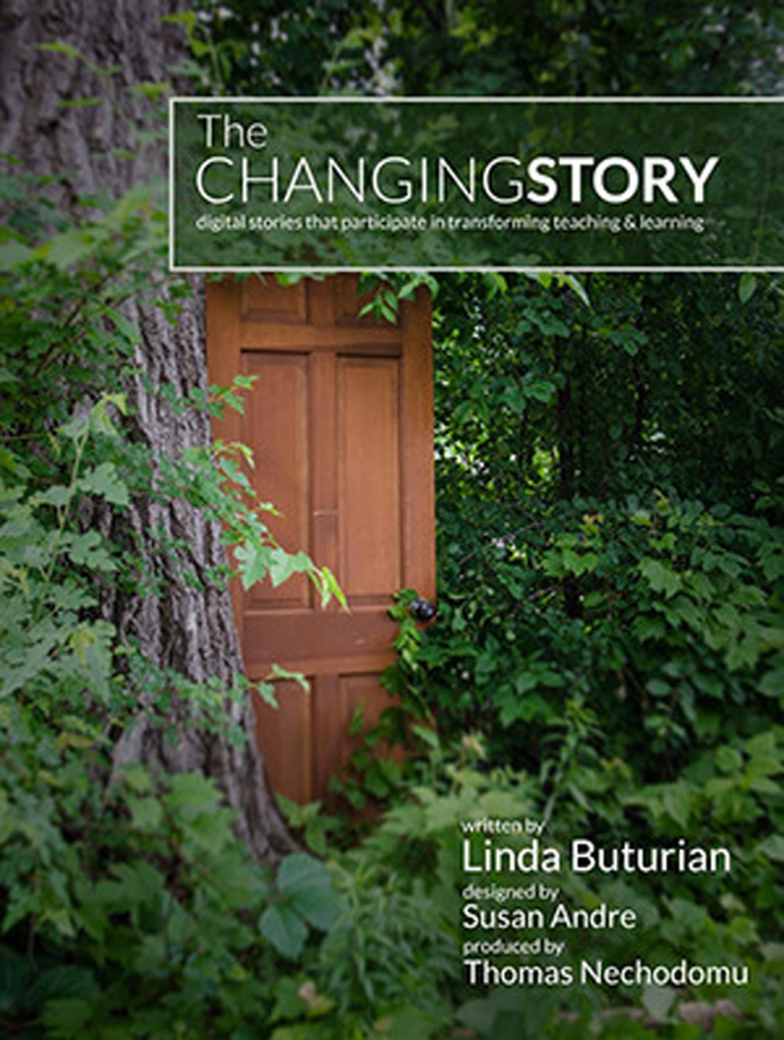 Cover image for The Changing Story