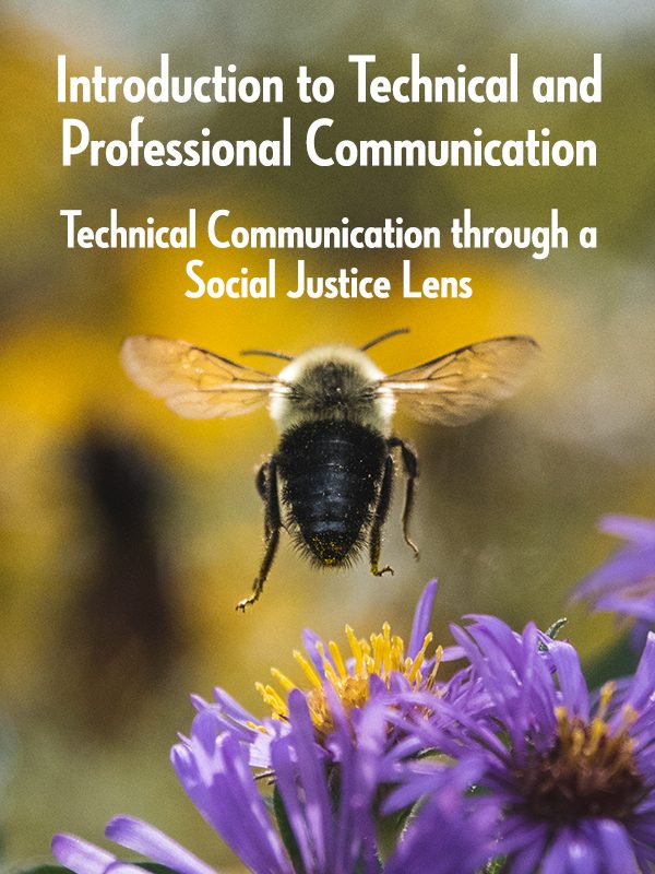 Cover image for Introduction to Technical and Professional Communication