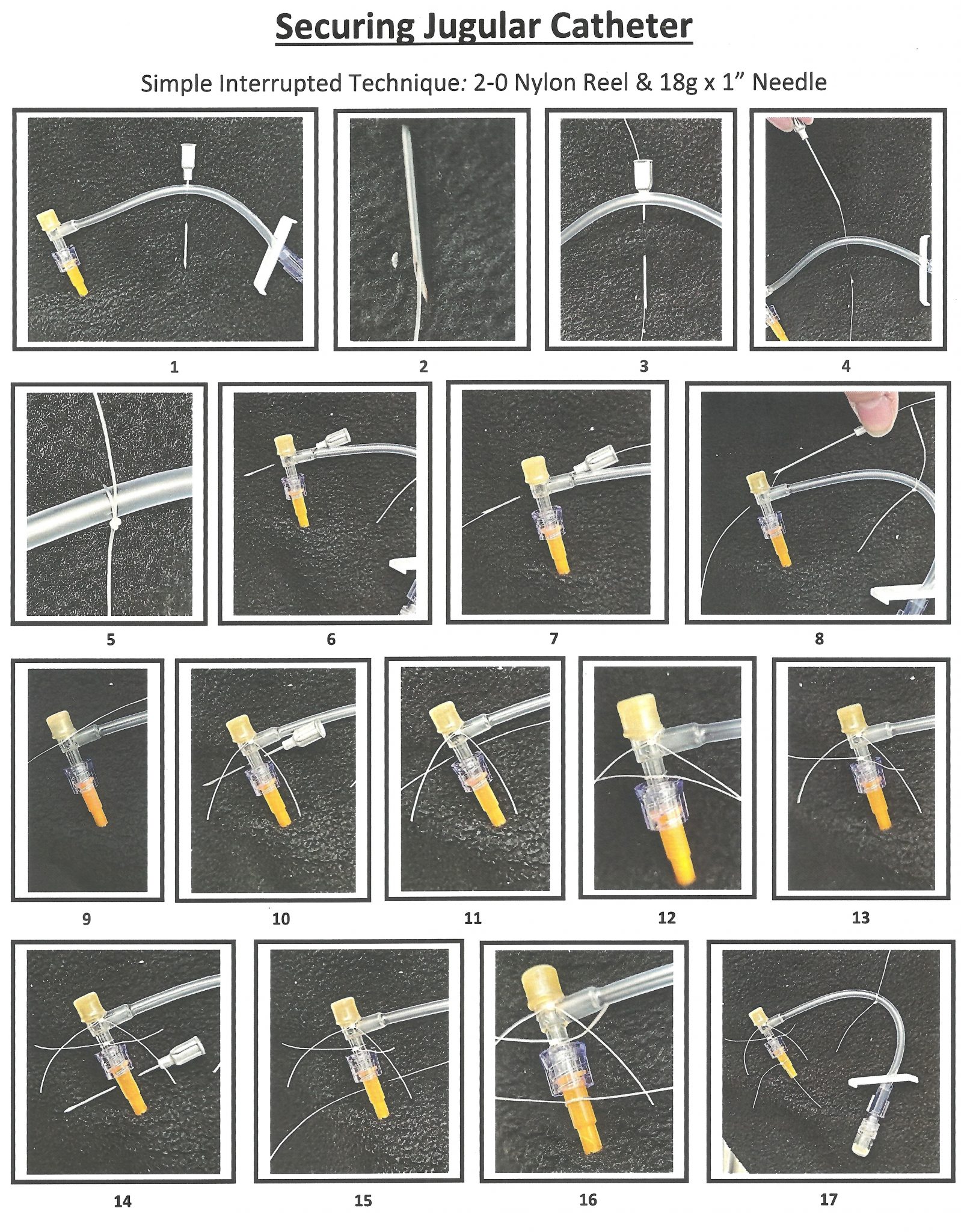 Securing Jugular Catheter Large Animal Clinical Skills