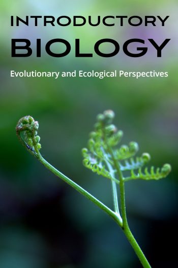 Cover image for Introductory Biology