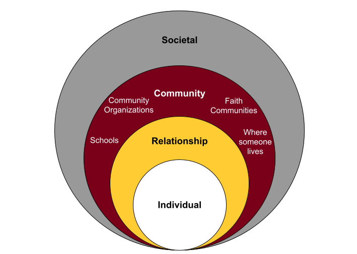 Community-level circle contains the words schools, community organizations, faith communities, and where someone lives