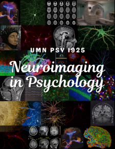 Neuroimaging in Psychology book cover
