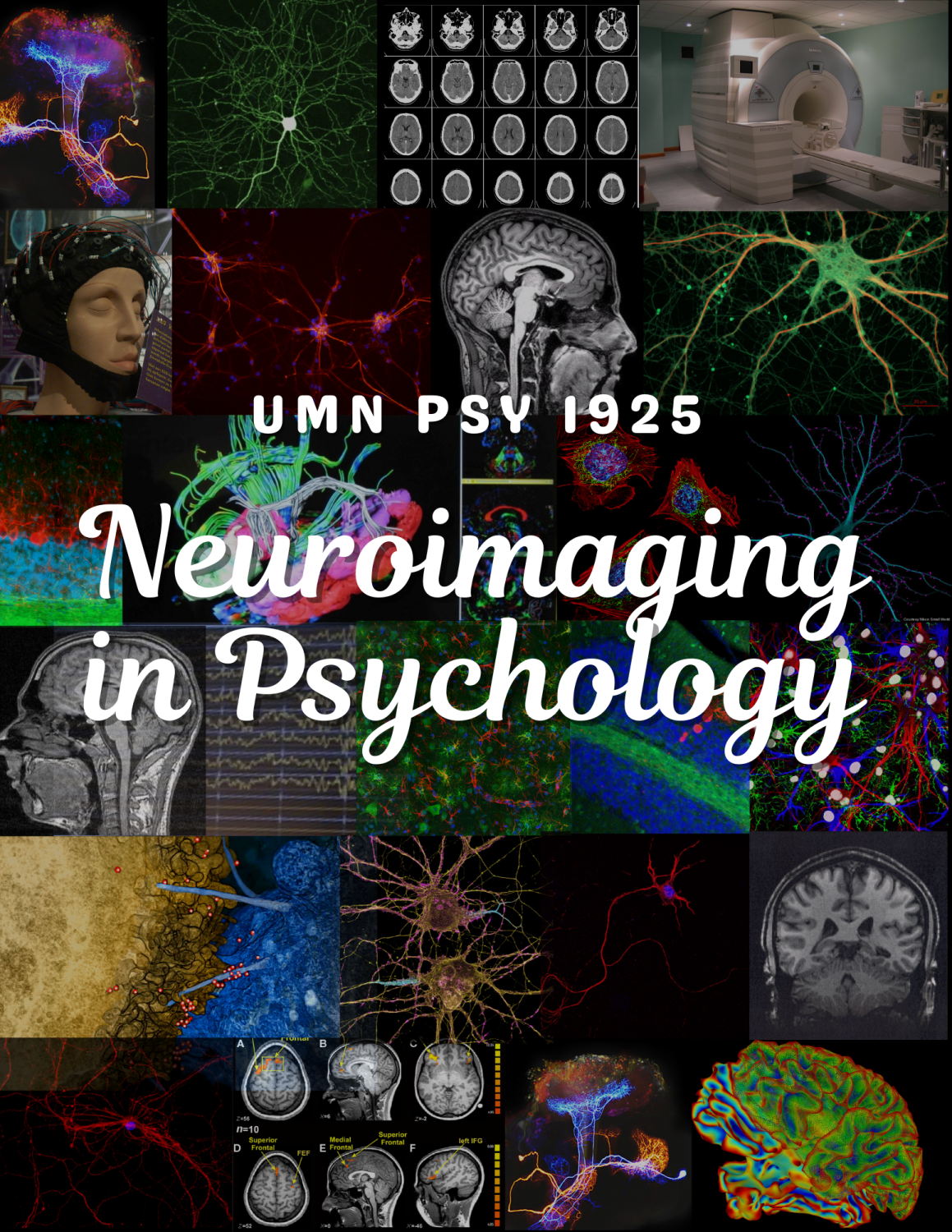 Cover image for Neuroimaging in Psychology