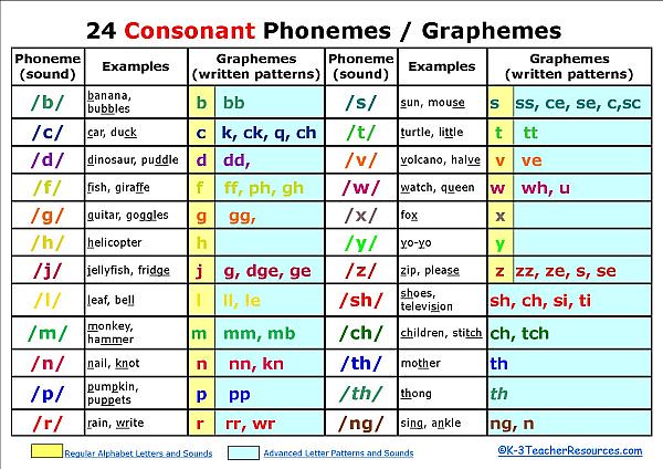 research on the perception of phonemes by infants reveals that