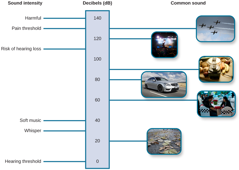 Different amplitudes, measured in decibels, represent the loudness of different items such as a car, blender, or jet.