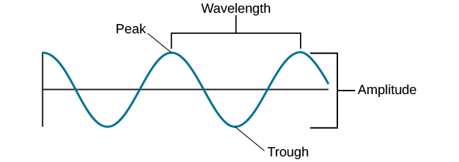 The image shows a sinusoid wave, labeling the top part the peak and the bottom the trough. The distance between these is labeled the amplitude. and the distance between two peaks is labeled the wavelength.