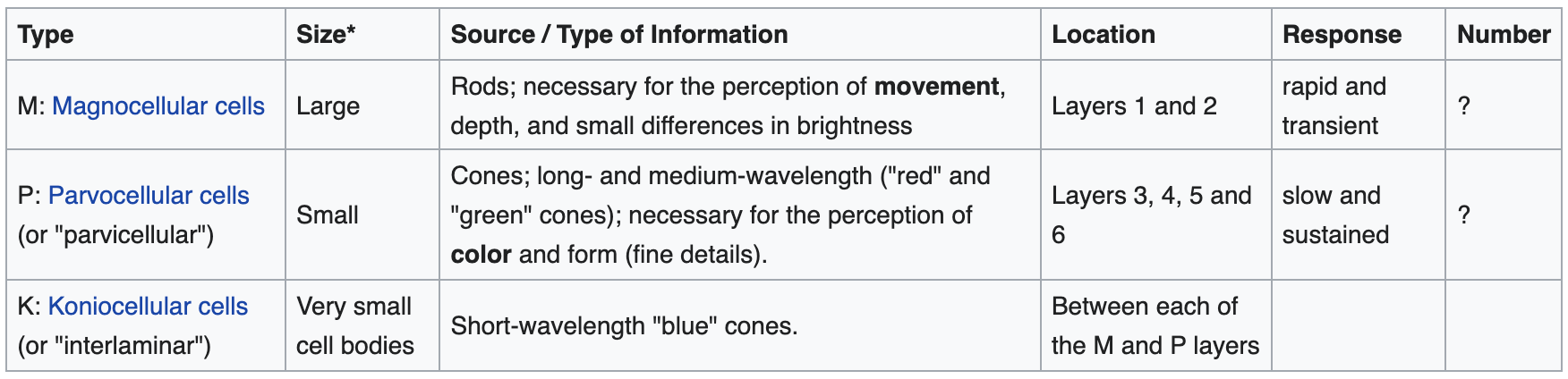 Magnocellular cells are large and detect motion, depth, and luminance via rods. The response is rapid and transient. They consist of layers 1 and 2. Parvocellular cells are small and detect color and fine details. The response is slow and sustained. This comes from layers 3 through 6. Koniocellular cells are extremely small and receive information from the short-wavelength blue cones. There is much to still be studied about this system. These cells reside between the magnocellular and parvocellular layers.