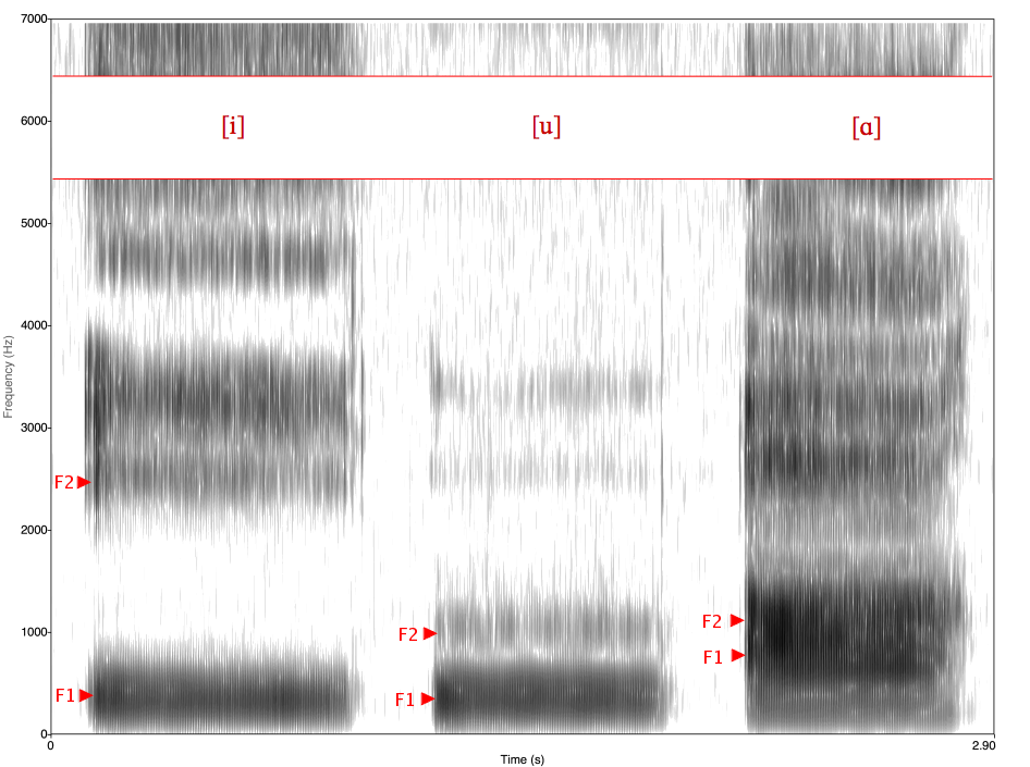 A spectrogram is shown. The example is black and white shading which shows the variations in speech.