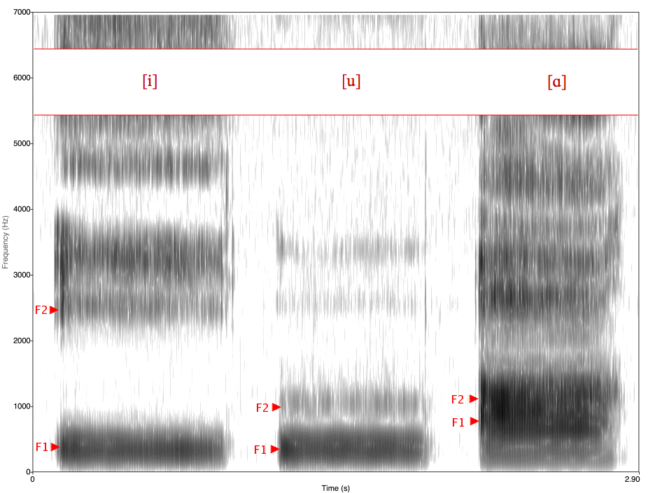 A spectrogram is shown. The example is black and white shading which shows the variations in speech. 