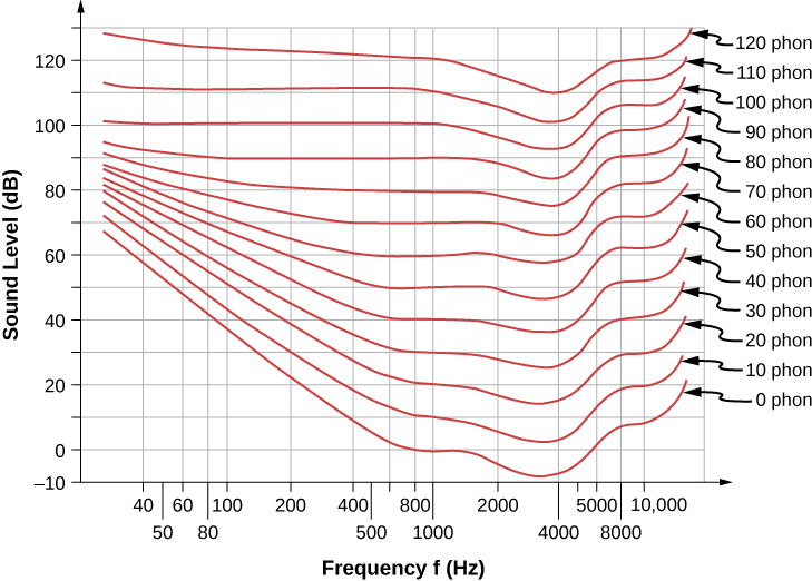 Kontrakt meteor Tigge Auditory Sensitivity Function – Introduction to Sensation and Perception