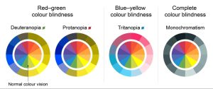 This picture showed examples of people with color blindness (deuteranopia, protanopia, these are two  types of red-green color blindness, blue-yellow blindness: tritanopia, and complete color blindness: monochromatism).