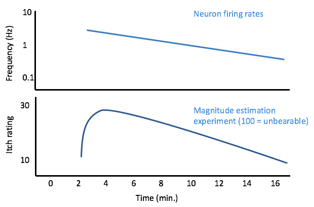 The top trace shows a line sloping down from 10 Hz to 0.1 Hz from 2 min to 16 min after stimulus onset. The bottom curve shows behavioral ratings increasing from 2-3 minutes, to a peak of about 10 on a scale of 0-100 (where 100 is unbearable), then sloping down over the course of the next 13 minutes.