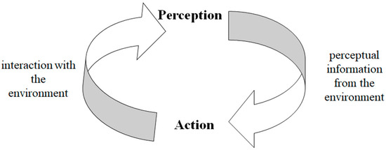 Perception And Action – Introduction To Sensation And Perception