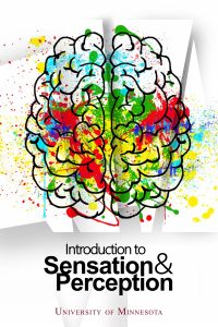 Introduction To Sensation And Perception – Simple Book Publishing