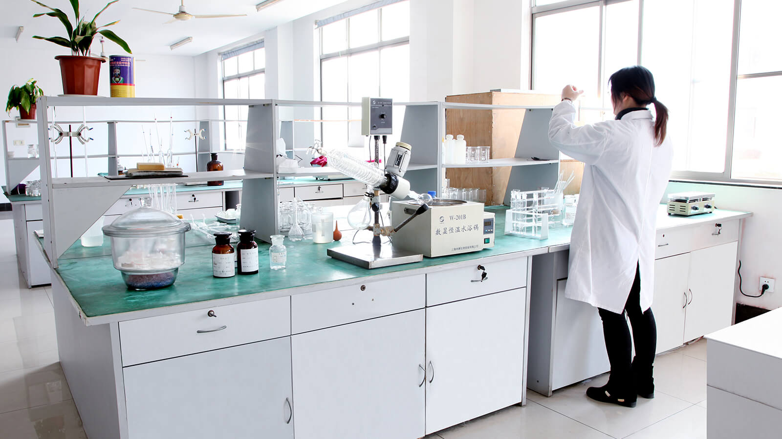 Global Supply Chain Efficiency Research