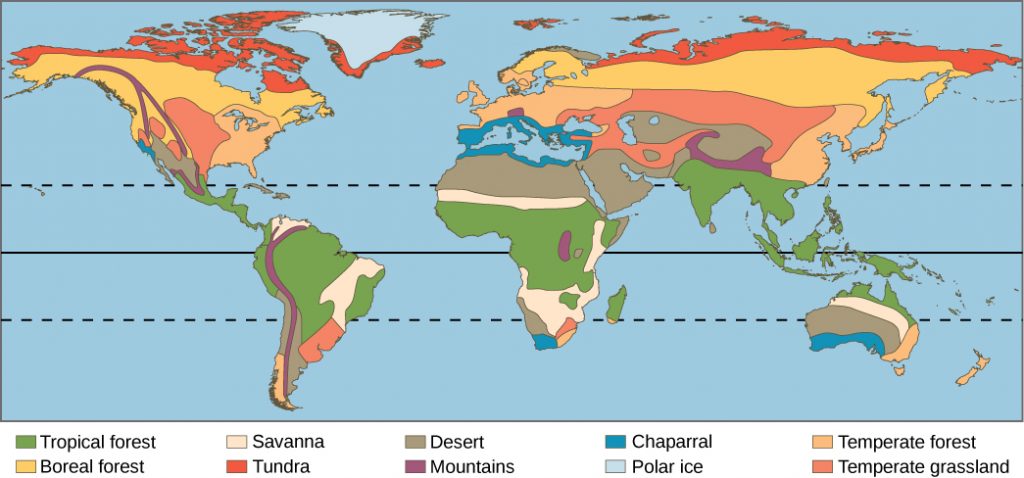 Desert: Mission: Biomes