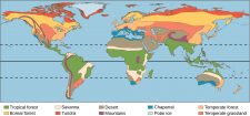 Terrestrial Biomes – Introductory Biology: Evolutionary and Ecological ...