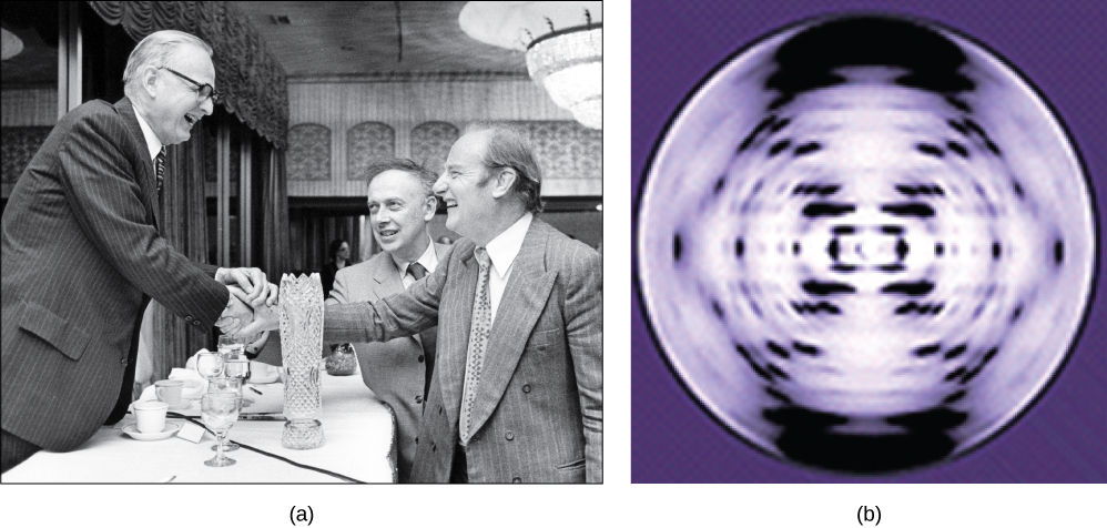 Photo in part A shows James Watson, Francis Crick, and Maclyn McCarty. The x-ray diffraction pattern in part b is symmetrical, with dots in an x-shape.