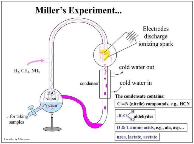 Image depicts Stanley Miller's and Harold Urey's experiment providing energy to inorganic molecules