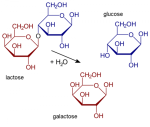 Adaptation in Humans – Introductory Biology: Evolutionary and ...