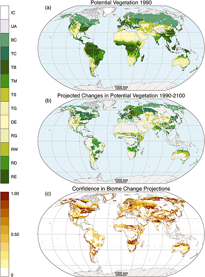 Modeled potential vegetation in 1990 (a), projected changes by the end of the century (b) and the confidence in the projections (c). Biomes from poles to equator are ice (IC), tundra and alpine (UA), boreal conifer forest (taiga, BC), temperate conifer forest (TC), temperate broadleaf forest (TB), temperate mixed forest (TM), temperate shrubland (TS), temperate grassland (TG), desert (DE), tropical grassland (RG), tropical woodland (RW), tropical deciduous broadleaf forest (RD), tropical evergreen broadleaf forest (RE). From Gonzalez et al. (2010).