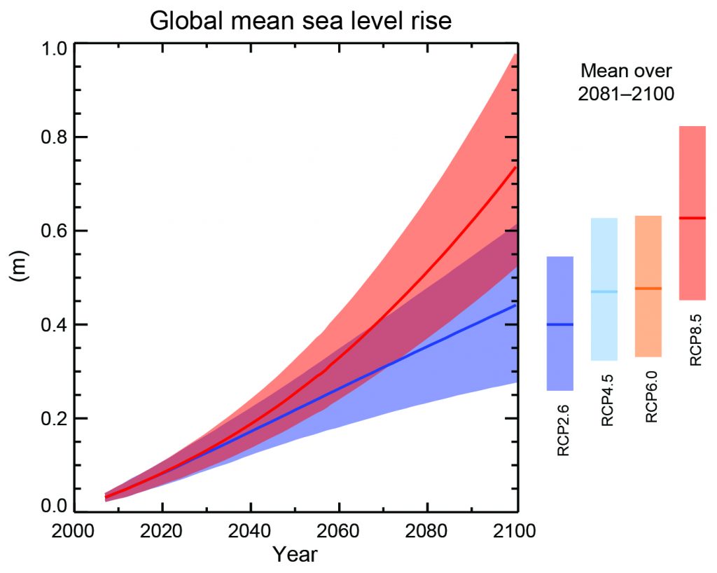 Global sea level rise projected for the 21st century. The blue and red curves show projections for scenarios RCP2.6 and RCP8.5, respectively. The shading indicates the likely (66-100%) uncertainty range. Bars on the right show the 2081-2000 averages for four scenarios. From ipcc.ch.