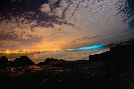 The breaking wave in this photo is an iridescent blue color.