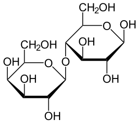 Lactose molecule