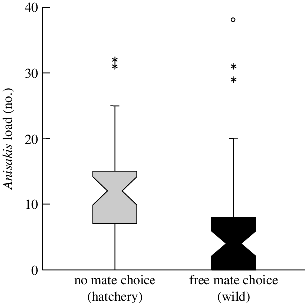 Variation in abundance of Anisakis per salmon (median parasite load) in the progeny of wild and hatchery Atlantic salmon returning to rivers to spawn. Box and whisker plots show median values with notches extending to 95% CI around the median, first and third quartiles (boxes), 90% of values (whiskers) and extreme data points (asterisks and circles). Compared with artificially bred salmon deprived of mate choice, the offspring of wild salmon that were allowed to mate freely show significantly lower parasite loads ( p