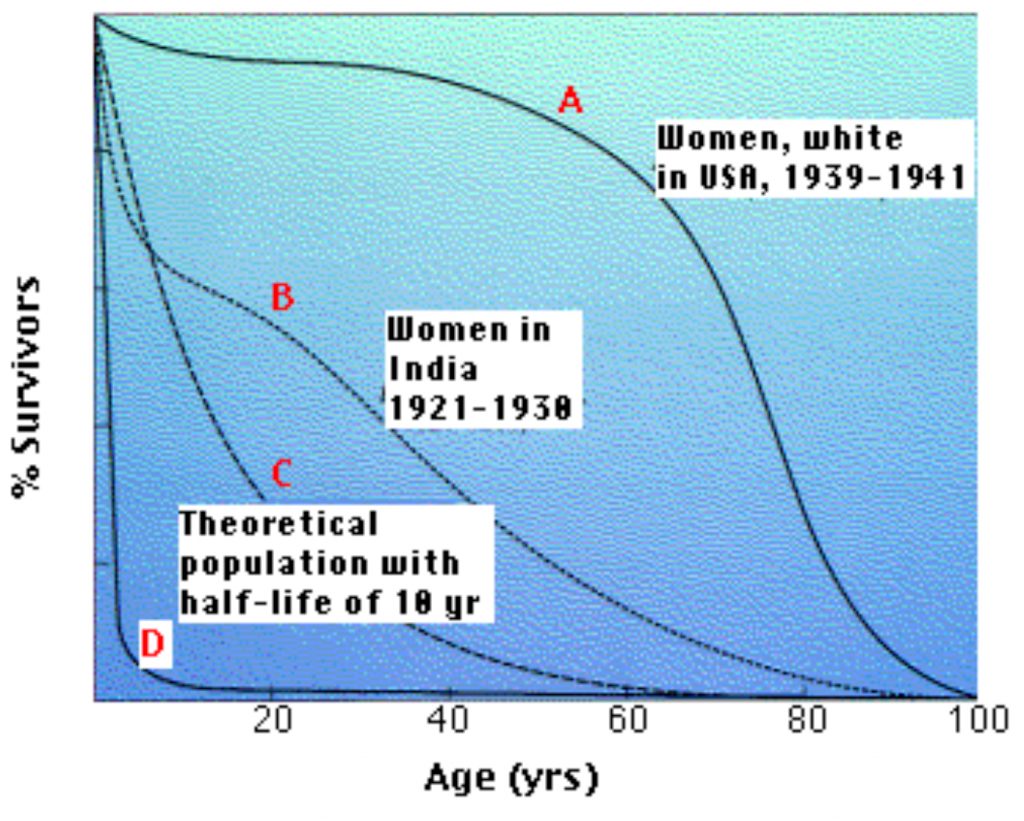 The graph shows four representative survival curves. The vertical axis represents the fraction of survivors at each age (on the horizontal axis). Curve A is characteristic of organisms that have low mortality until late in life. Then mortality increasingly becomes the endpoint of the aging process. Curve B is typical of populations in which such environmental factors as starvation and disease obscure the effects of aging (and infant mortality in high). Curve C is a theoretical curve for organisms for which the chance of death is equal at all ages. This might be the case for organisms that show few, if any, signs of aging (some fishes) or those (e.g., songbirds in the wild) that suffer severe random mortality from environmental causes throughout life. Curve D is typical of organisms, oysters for example, that produce huge numbers of offspring accompanied by high rates of infant mortality